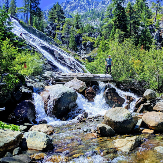 Inside Sierra: The Sauce With a Sense of Place